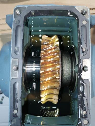 WhatsApp-Image-2023-03-24-at-4.52.04-PM